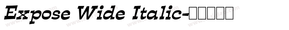 Expose Wide Italic字体转换